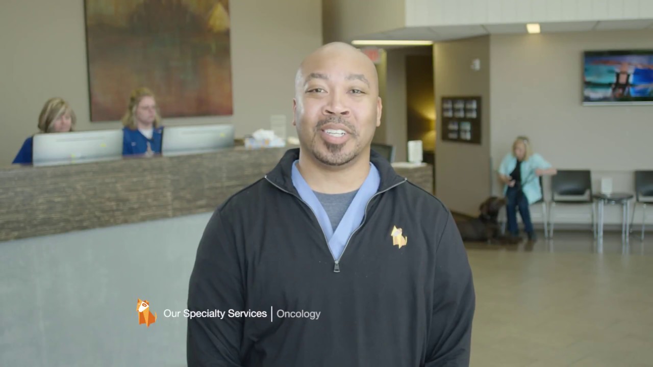 Memphis Veterinary Specialists