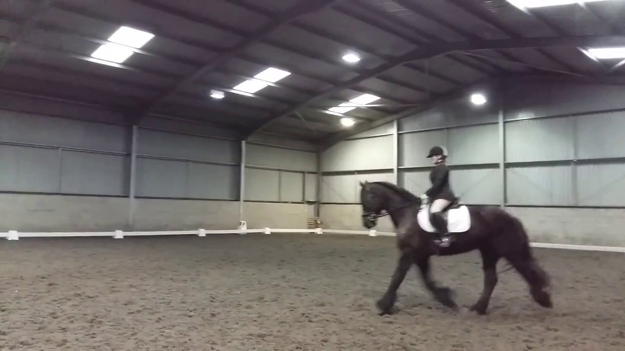 Novice 24 British Dressage