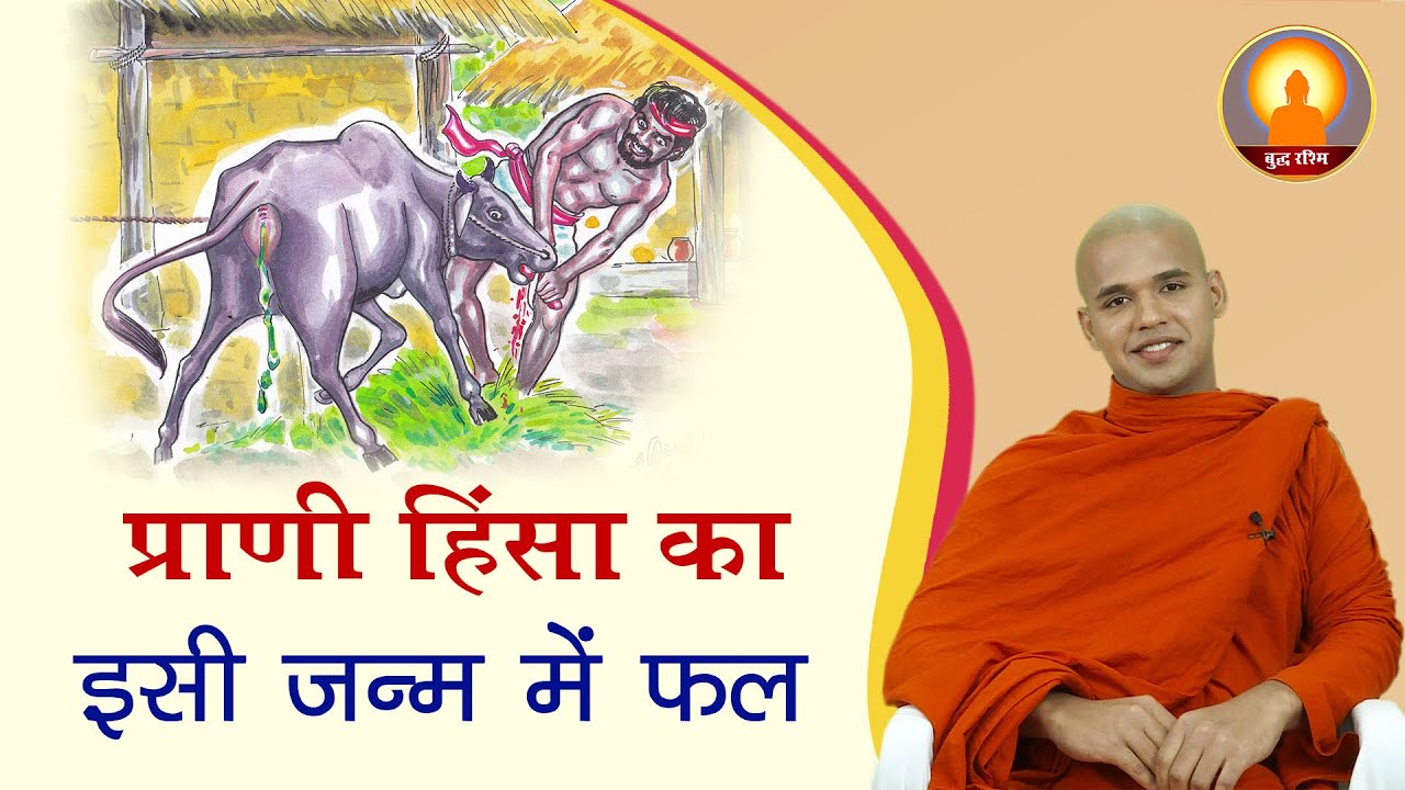प्राणी हिंसा का इसी जन्म में फल | Bhante Suyash | Buddha Rashmi - 30