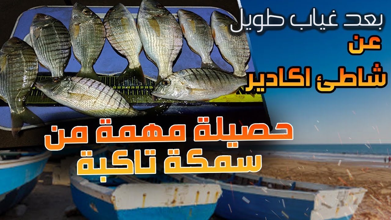 بعد غياب طويل عن شاطئ أكادير عدنا بحصيلة مهمة من سمكة تاكبة 🎣 🔥