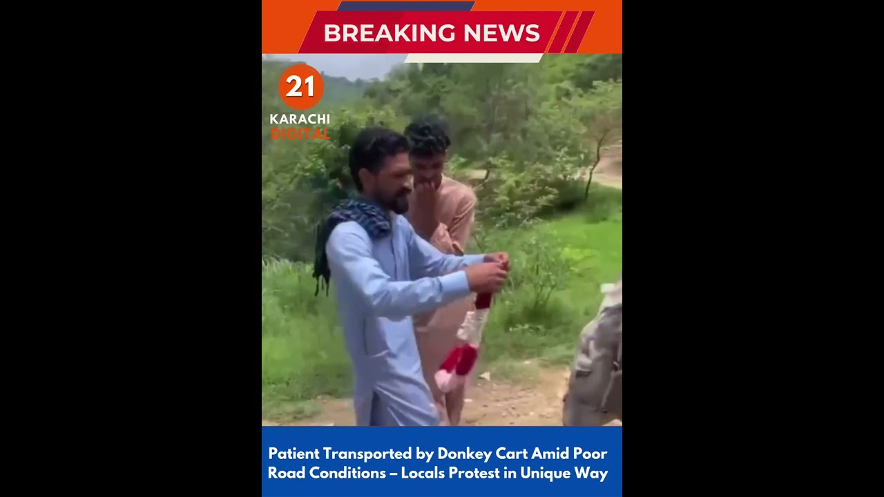 Patient Transported by Donkey Cart Amid Poor Road Conditions &ndash; Locals Protest in Unique Way