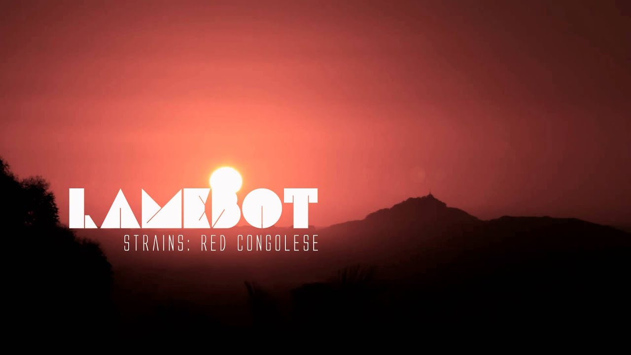 LAMEBOT - Strains: Red Congolese