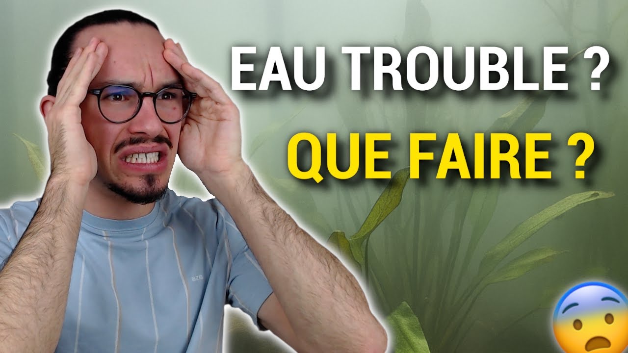 EAU TROUBLE dans votre AQUARIUM ? Voici la VRAIE cause (et comment la régler)