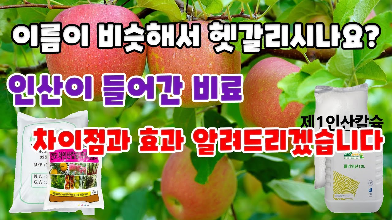 폴리인산과 인산? 차인산칼슘과 과인산칼슘? 다 같은 인산비료 아닌가?