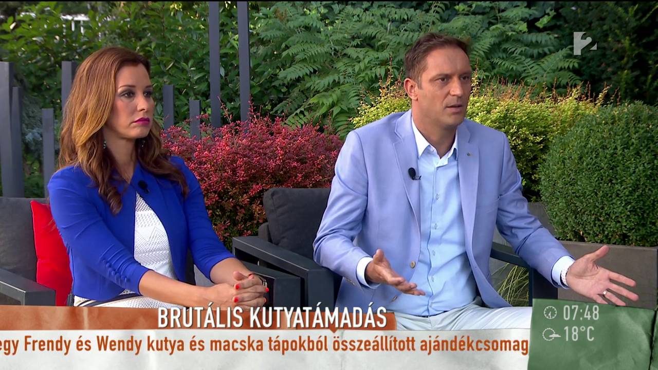 Brutális kutyatámadás Debrecenben - tv2.hu/mokka