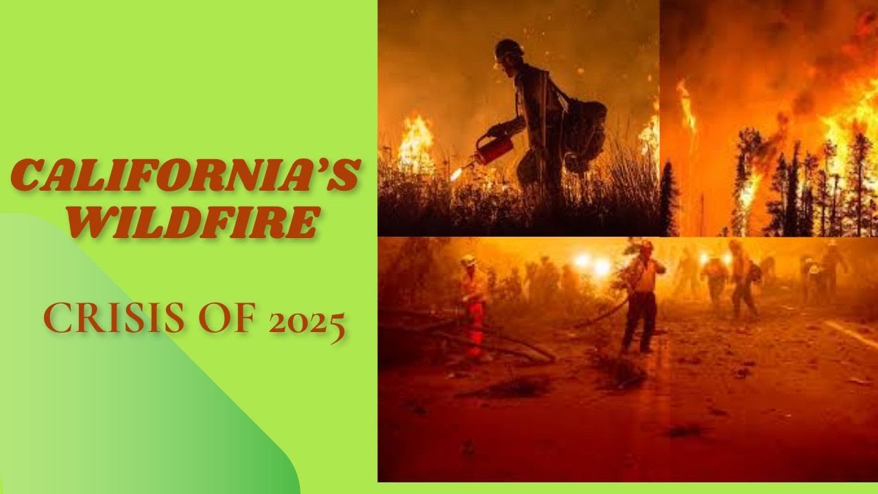 California's Wildfire Crisis Of 2025