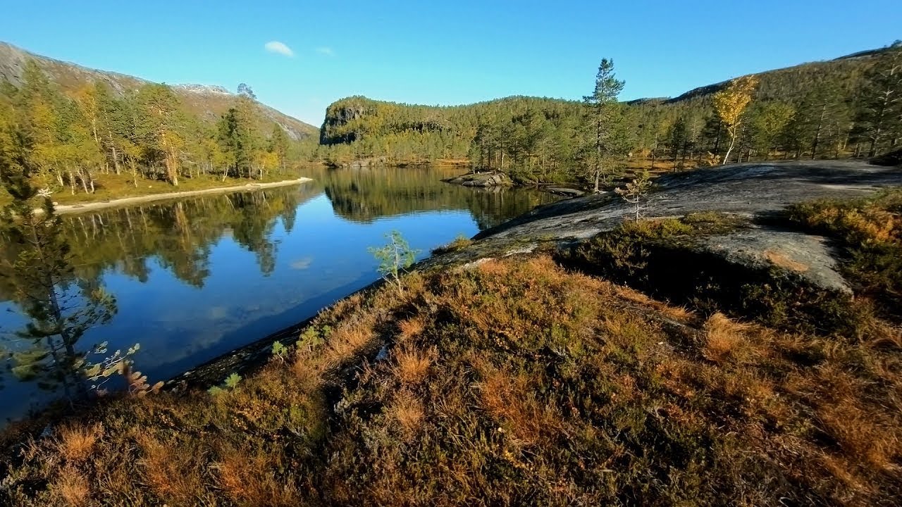 Hiking Guide: Storskogvatnet in Rago National Park