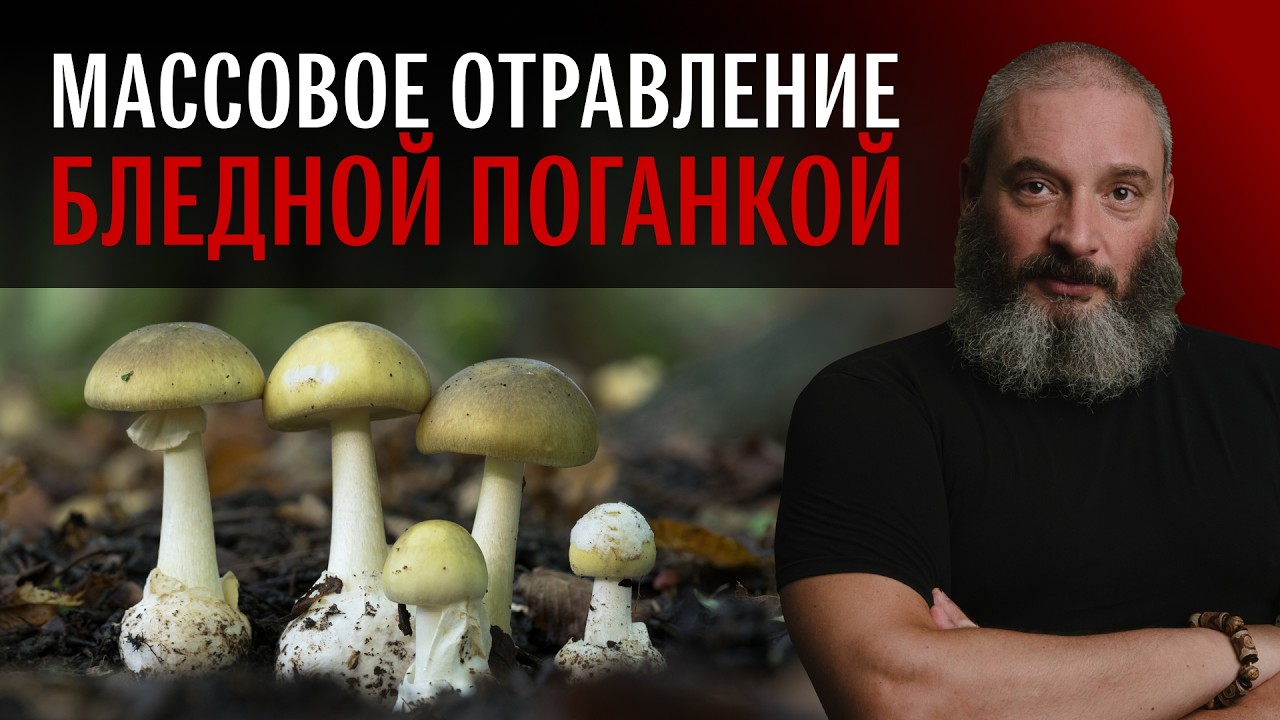 Дело о ядовитых грибах. Михаил Вишневский