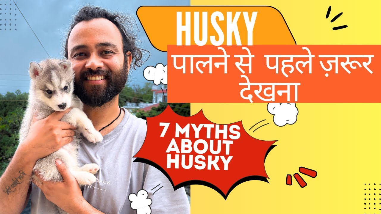 Husky Palna Chahte Ho? Ye 7 Batein Janna Bahut Zaruri Hai!