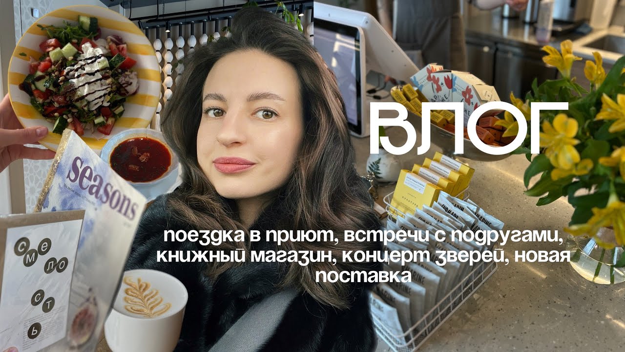 влог: поездка в приют, концерт Зверей, книжный магазин, куча работы💥