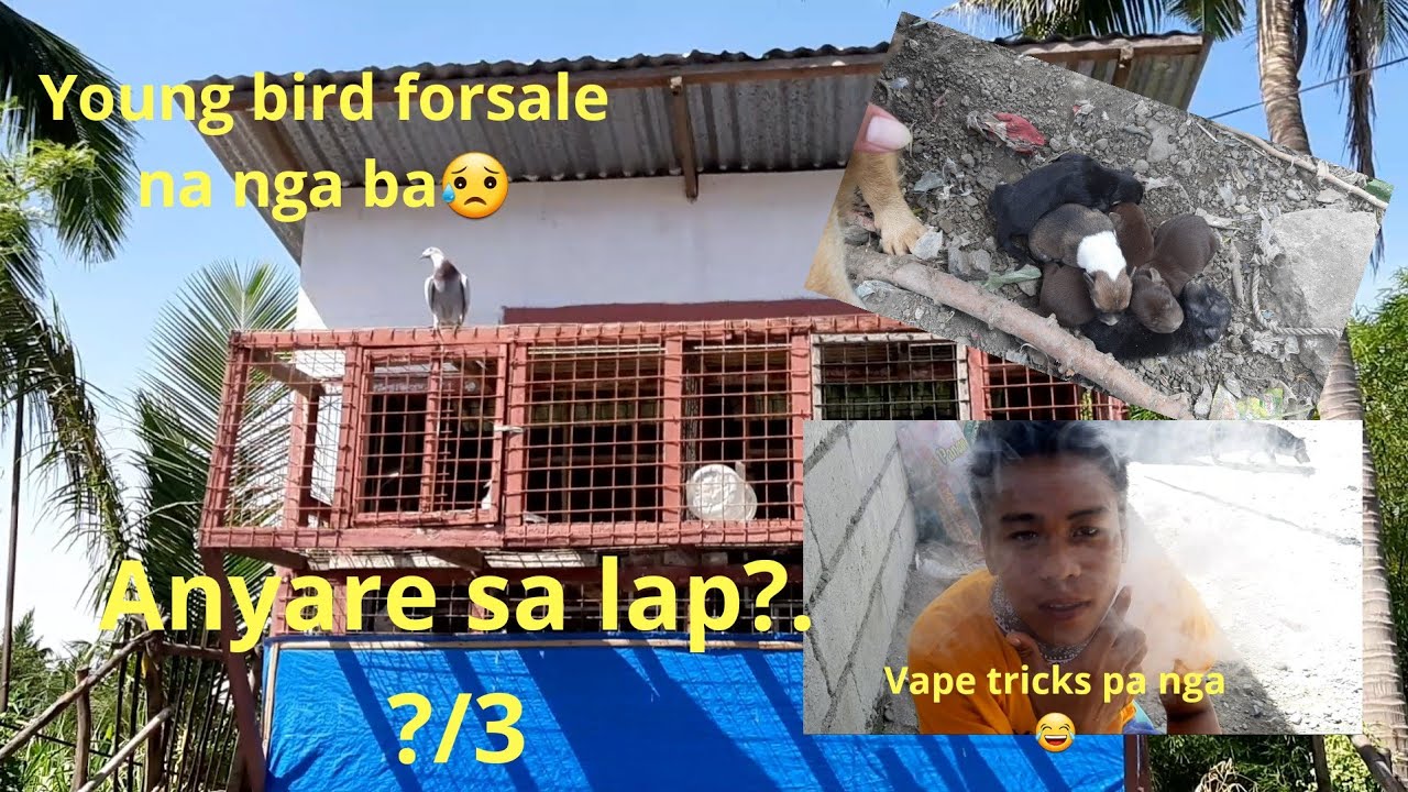 TPFC 2ND LAP! CLRPC LAST LAP!. Raffle update!🥰.NANGANAK SI BANTAY 😍..VAPE TRICKS😂😂🤣