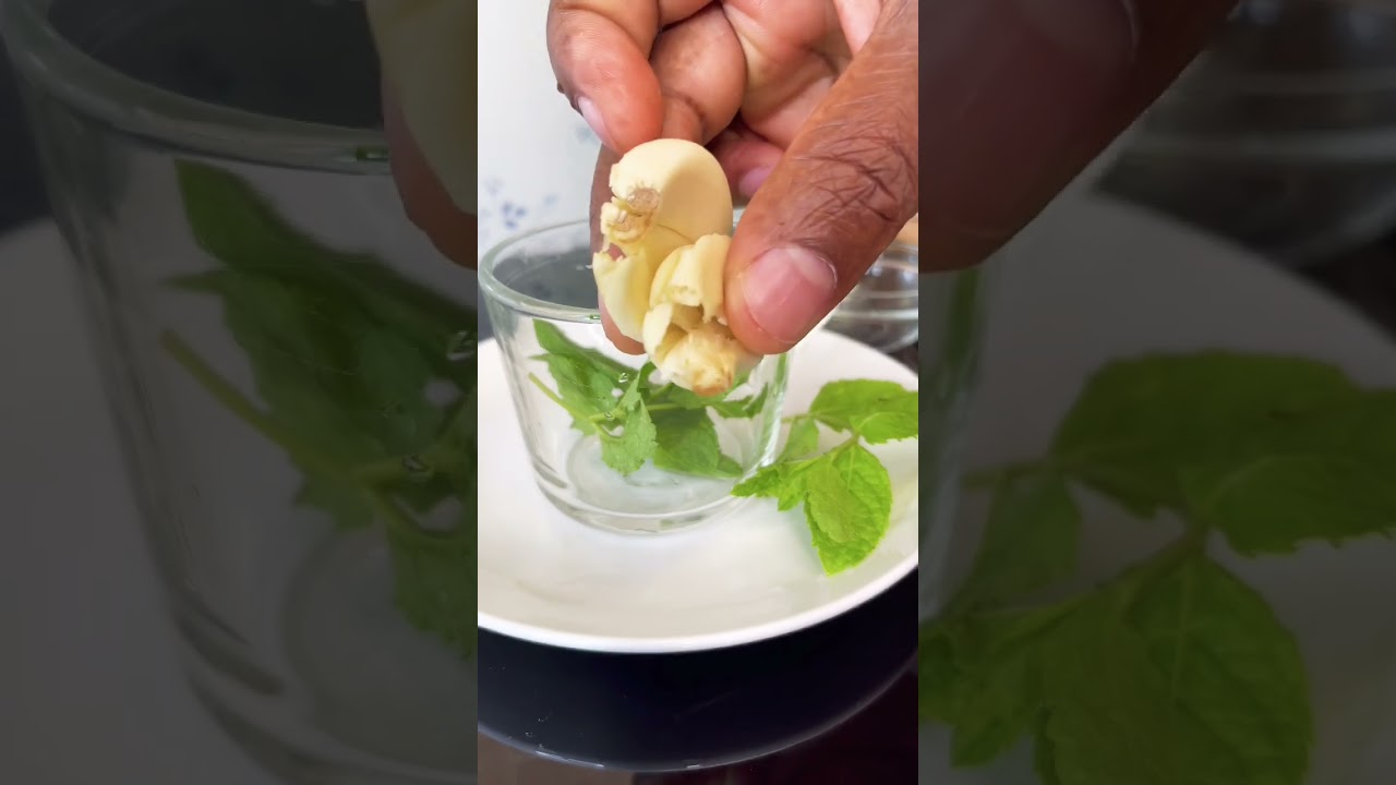 Mix garlic with fresh mint #shorts