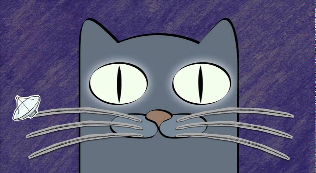 Pourquoi les chats ont-ils des moustaches ?