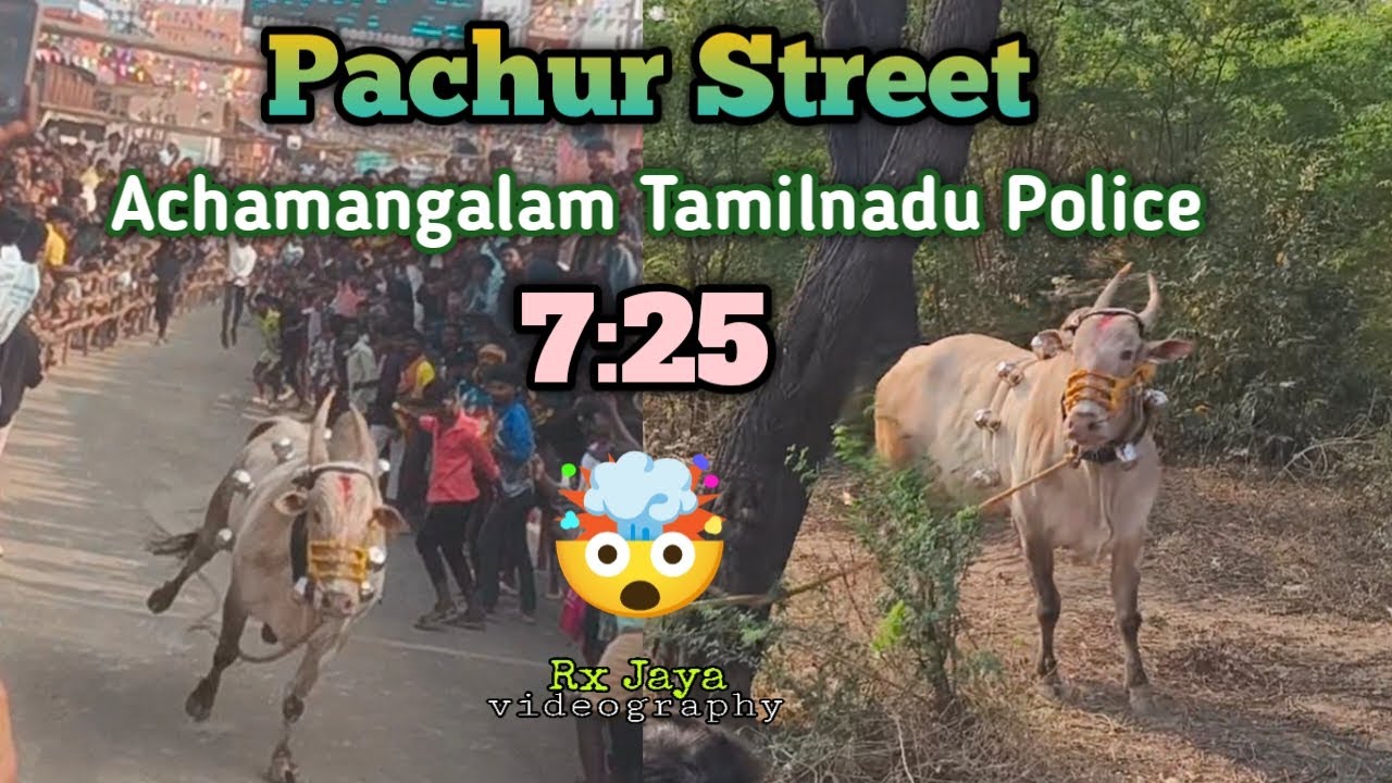 Achamangalam Tamilnadu Police 7:25 🏆🤯 Pachur Street 26/02/2026 #trending #viral #vlog #trendingvideo