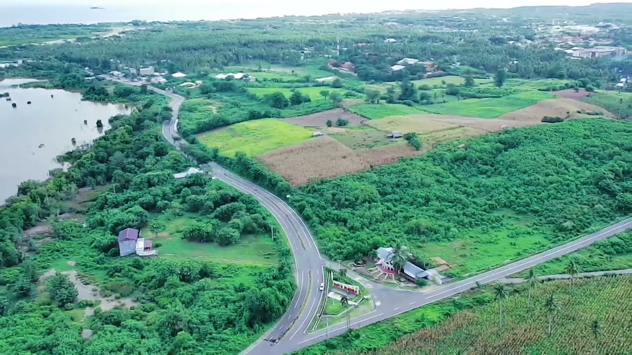 MARISA CITY ( Hutan Lindung Pohuwato  )