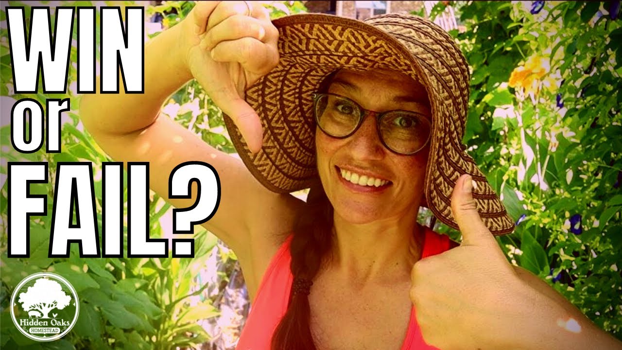 Summer GARDENING FAILS  | July GARDEN TOUR Zone 8b (North Florida)