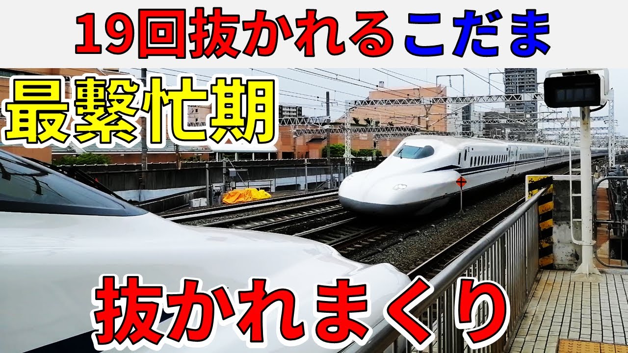 #24【東京→新大阪】最繫忙期！19回抜かれるこだま号に乗ってみた!!