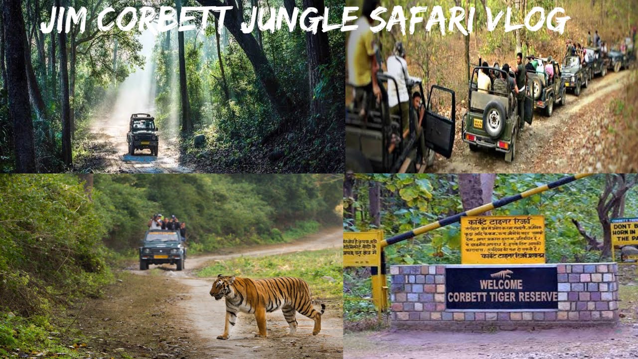 Jim Corbett Safari Mein Dikha Tiger😱| Jim Corbett National Park | Jungle Safari Uttrakhand 