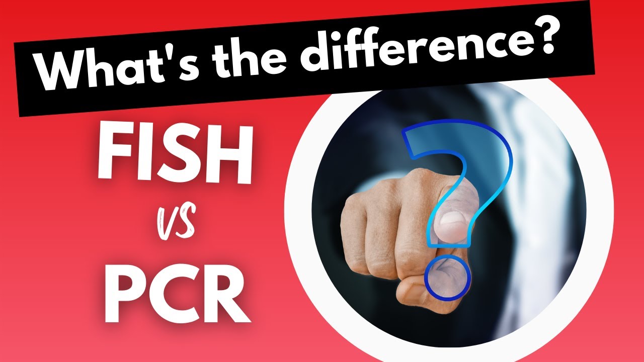 What’s the difference between FISH and PCR? / CML / Chronic Myeloid Leukemia