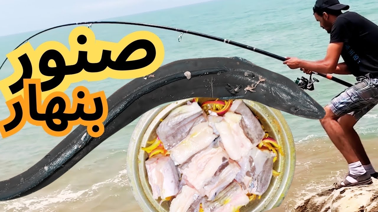 صيد سمك الصنور أو الفرخ في النهار
