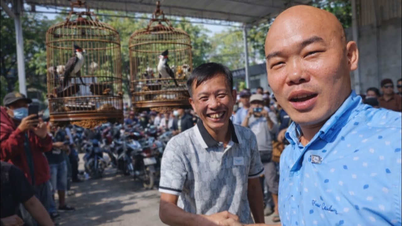 KHAI XUÂN ĐẦU NĂM THÉP ĐI THI CHIM CHÀO MÀO MÂY MẮN ĐƯỢC CHÚT THÀNH TÍCH NHỎ