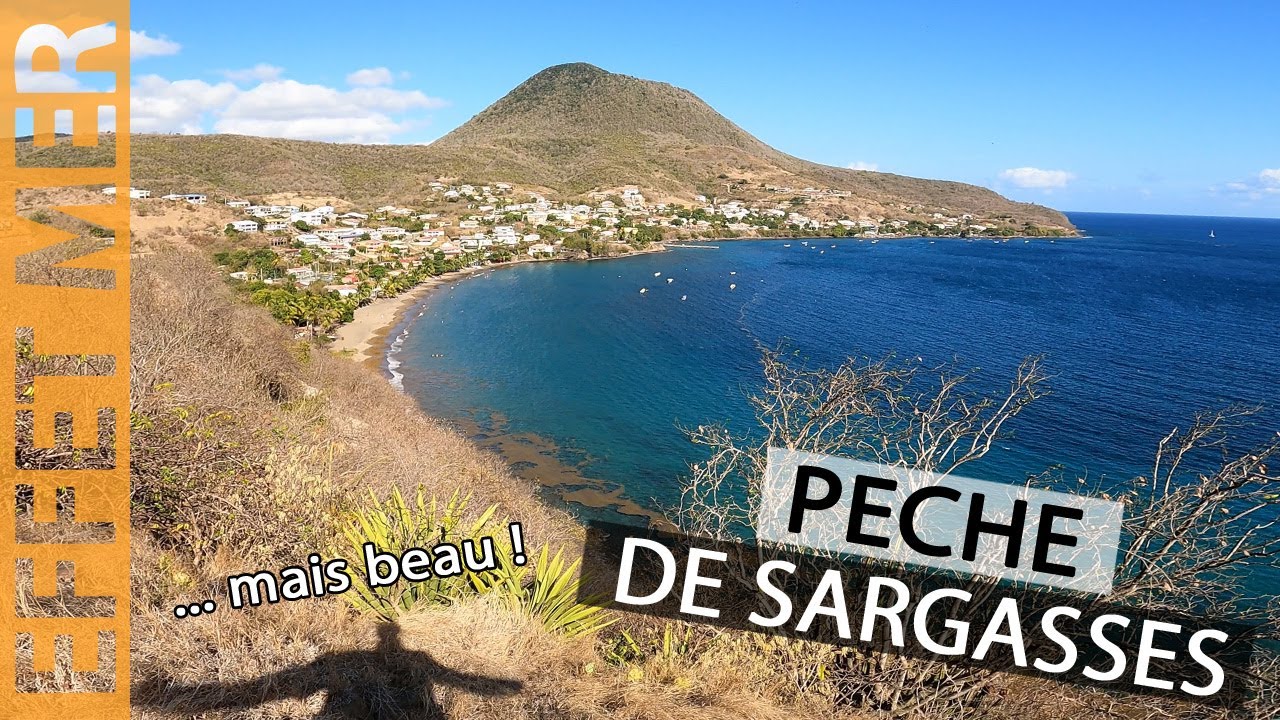 J'aurais aimé appeler cette vidéo 