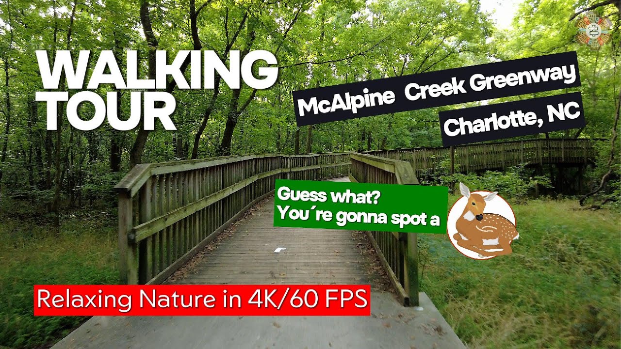 Walking Tour | McAlpine Creek Greenway | Relaxing Nature in 4K 60FPS. ⬇ LINKS (map, etc.) ⬇