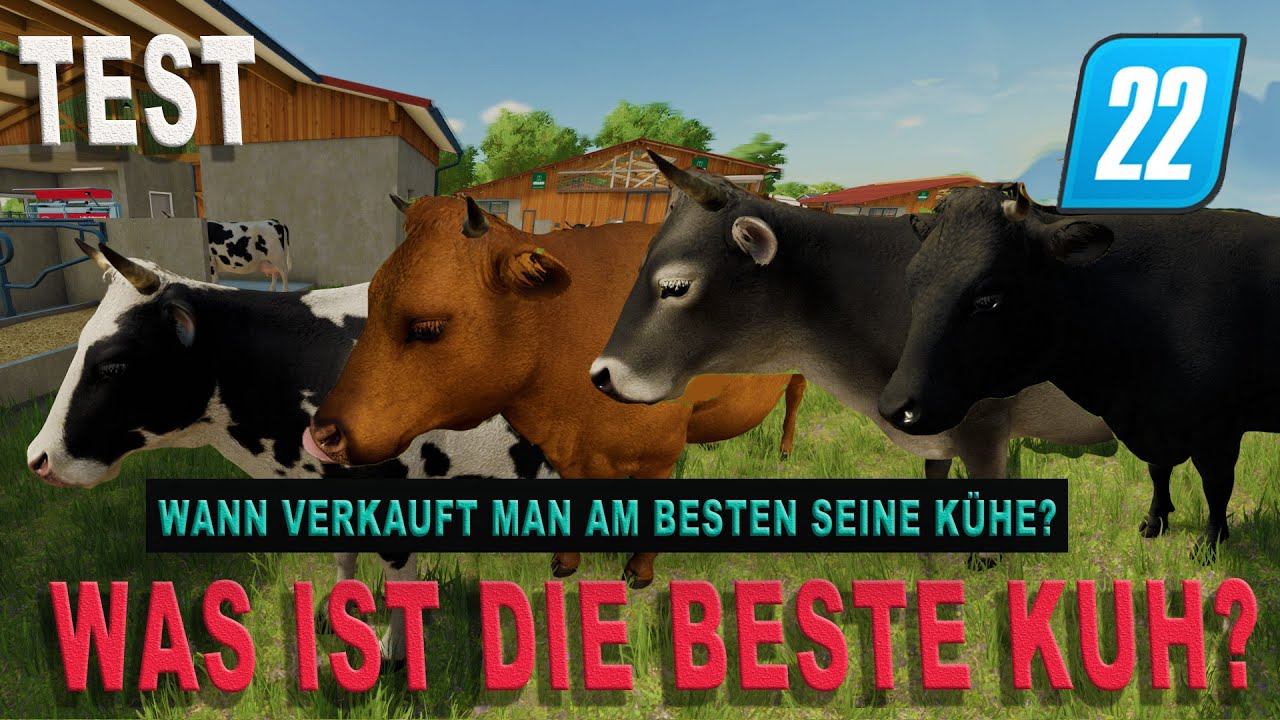 LS22 Test - Beste Milchkuh? -  Beste Fleischkuh? - Wann verkauft man Kühe mit dem höchsten Gewinn?