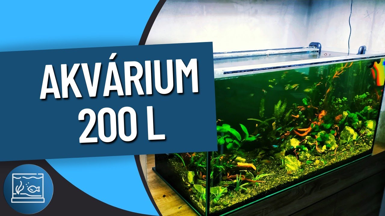 Založení akvária 200l