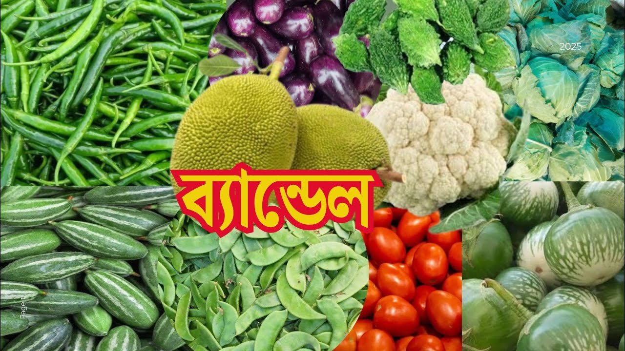 ব্যান্ডেল পাইকারি বাজারে সবজি সহ পেঁয়াজ আদা রসুনের দাম | Bandel Vegetable Market | Vegetable Market