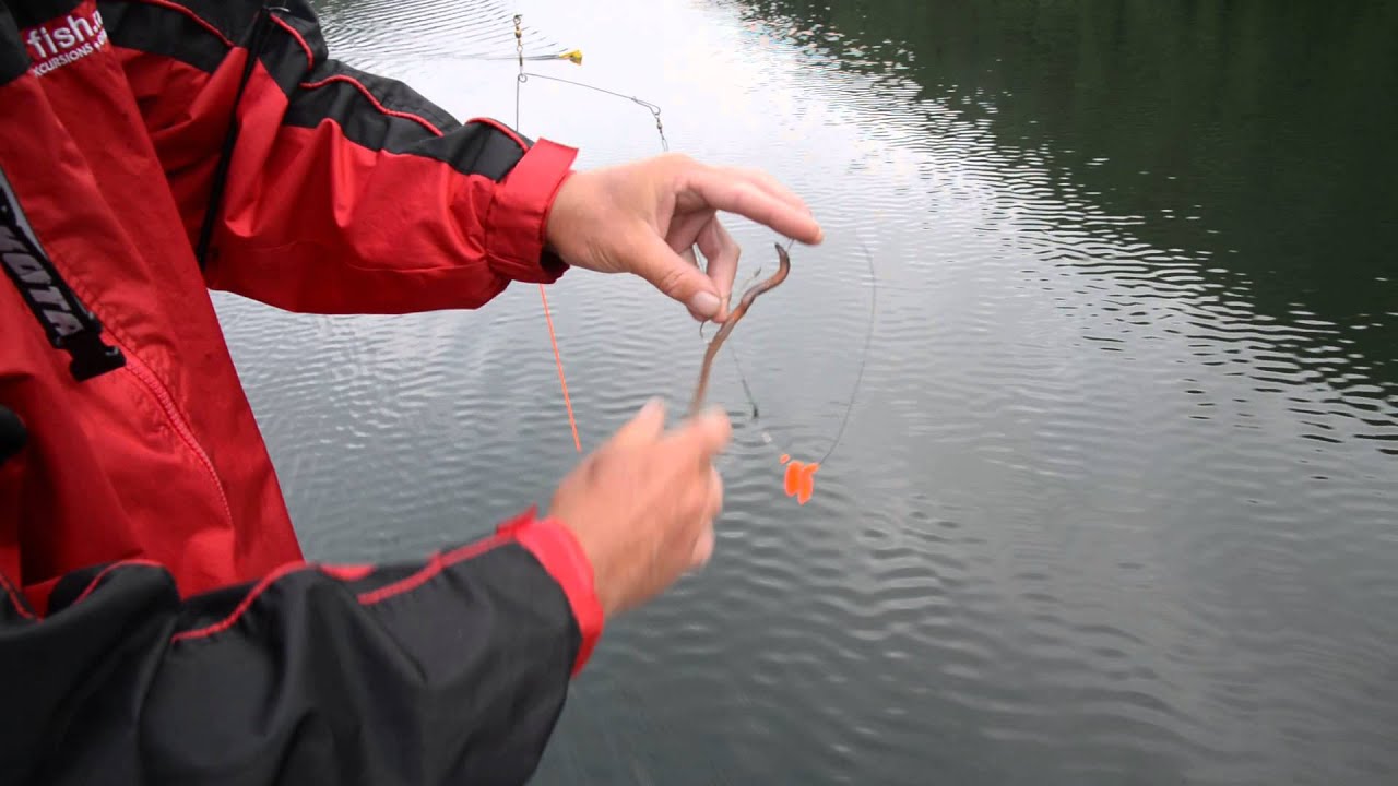 HOW2 Rig a Night Crawler on a WORMRig from HOW2fish.net