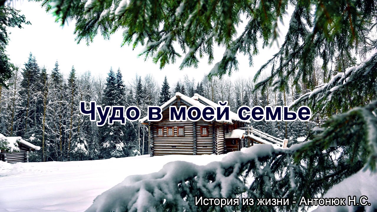 Чудо в моей семье. Антонюк Н.С. Истории из жизни. МСЦ ЕХБ