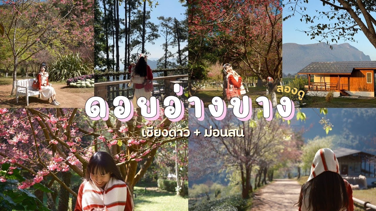 เที่ยวดอยอ่างขาง ล่าอากาศหนาว ลองดู
