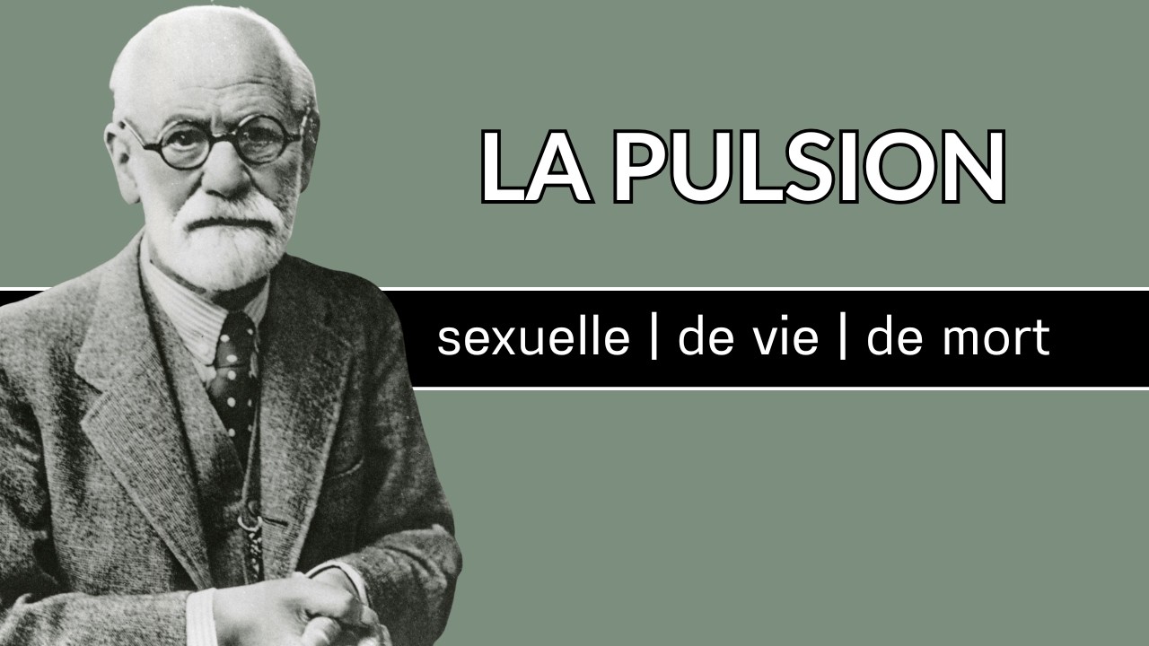 Comprendre la dynamique pulsionnelle en 15 minutes