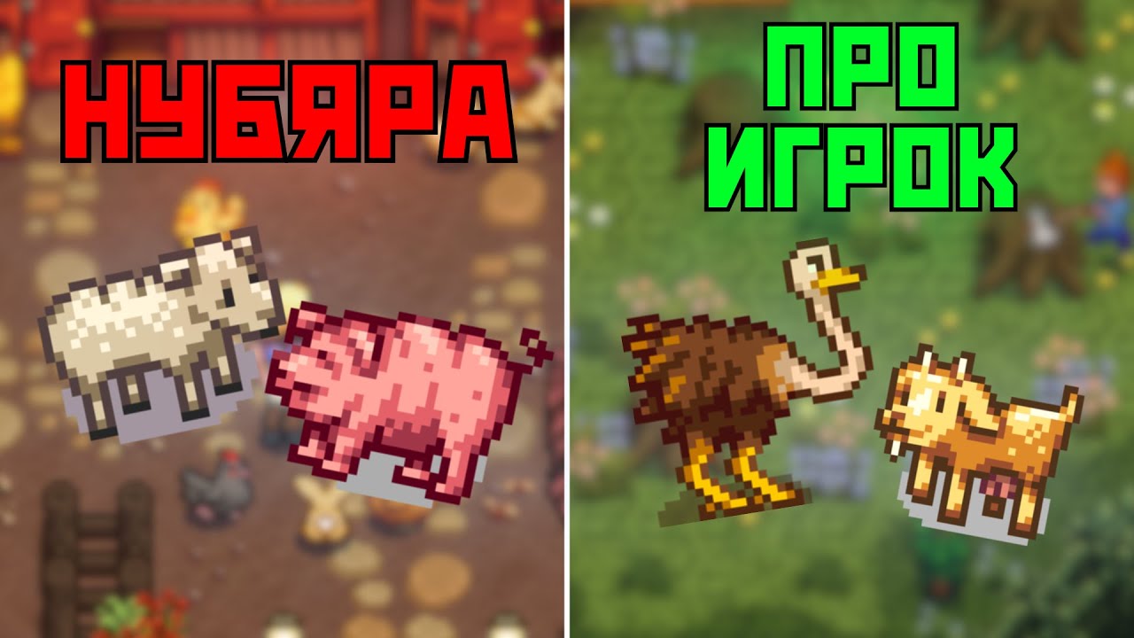 ГАЙД ПО ЖИВОТНЫМ В STARDEW VALLEY!!!