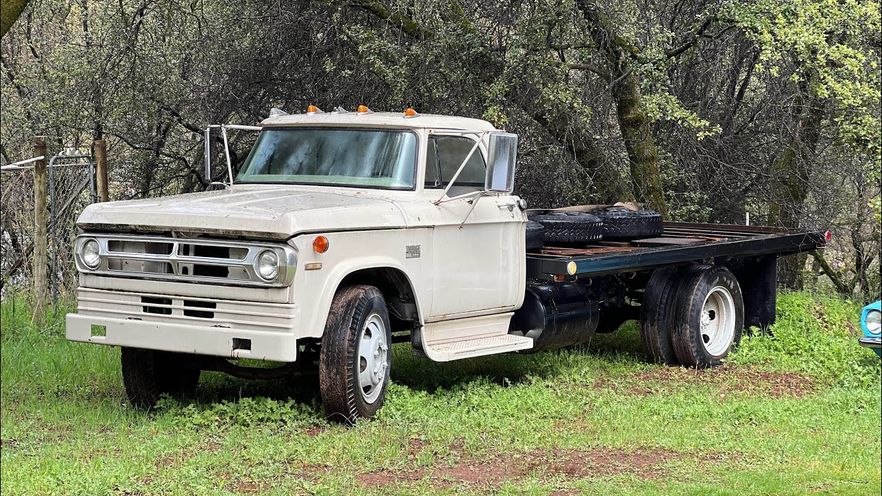 1970 Dodge D500 Dump truck! Will it run and drive after 5 Years parked?
