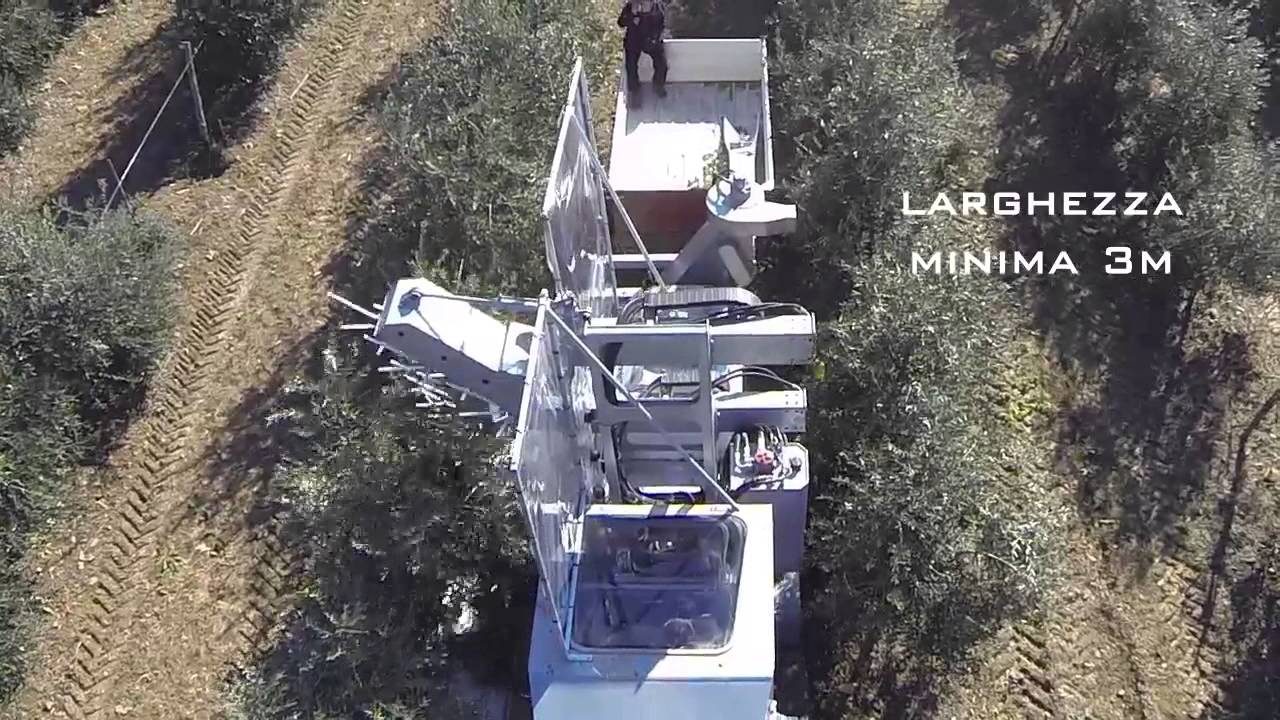 Athena Olive Harvester