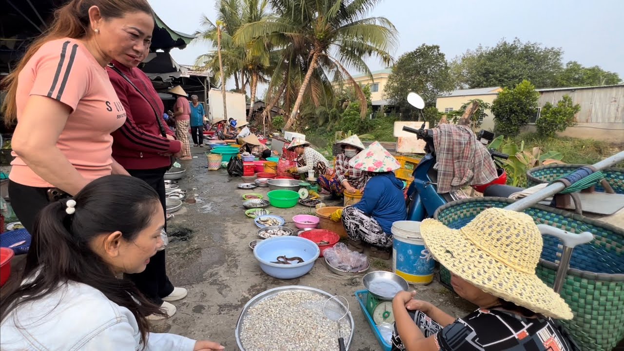 1203 / Đi chợ quê Miền Tây chợ Mỹ Hiệp Sơn
