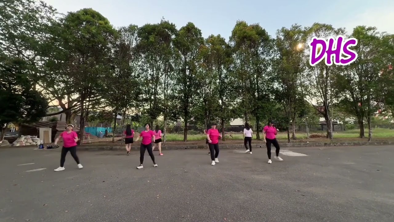 Vegas Vibe line dance// choreo : Colin Ghys// demo by DHS 
