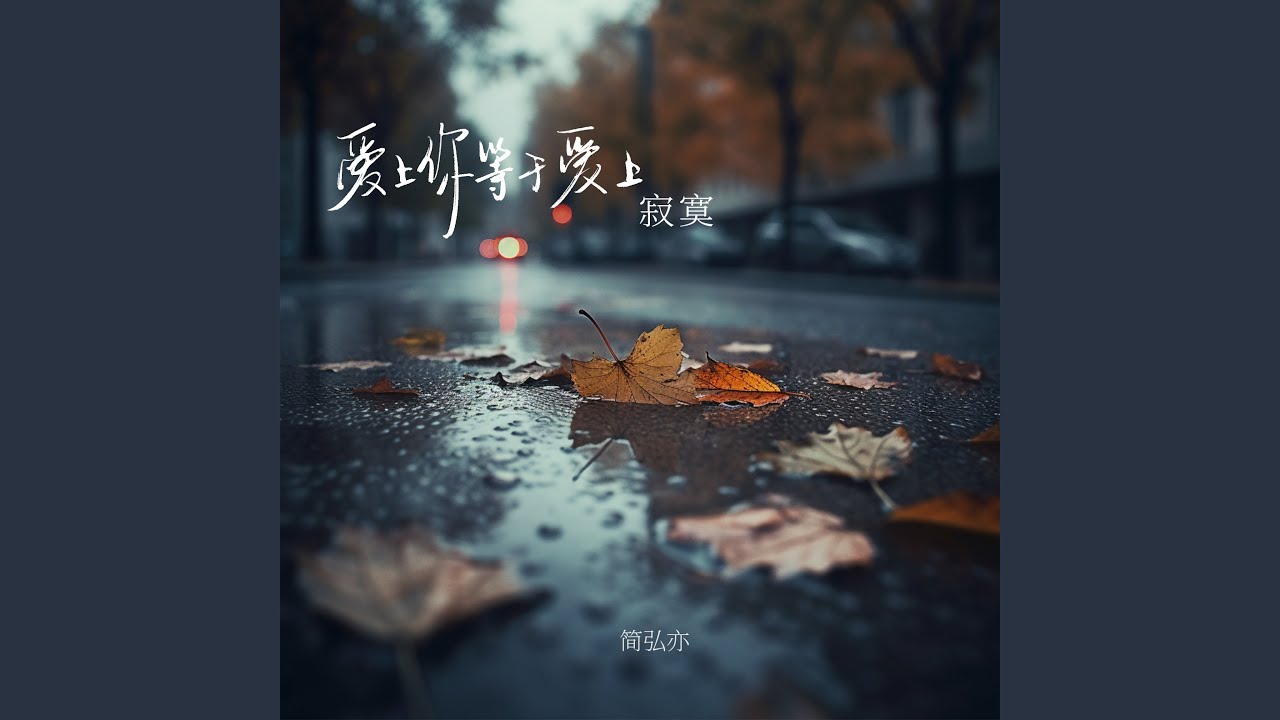 爱上你等于爱上寂寞