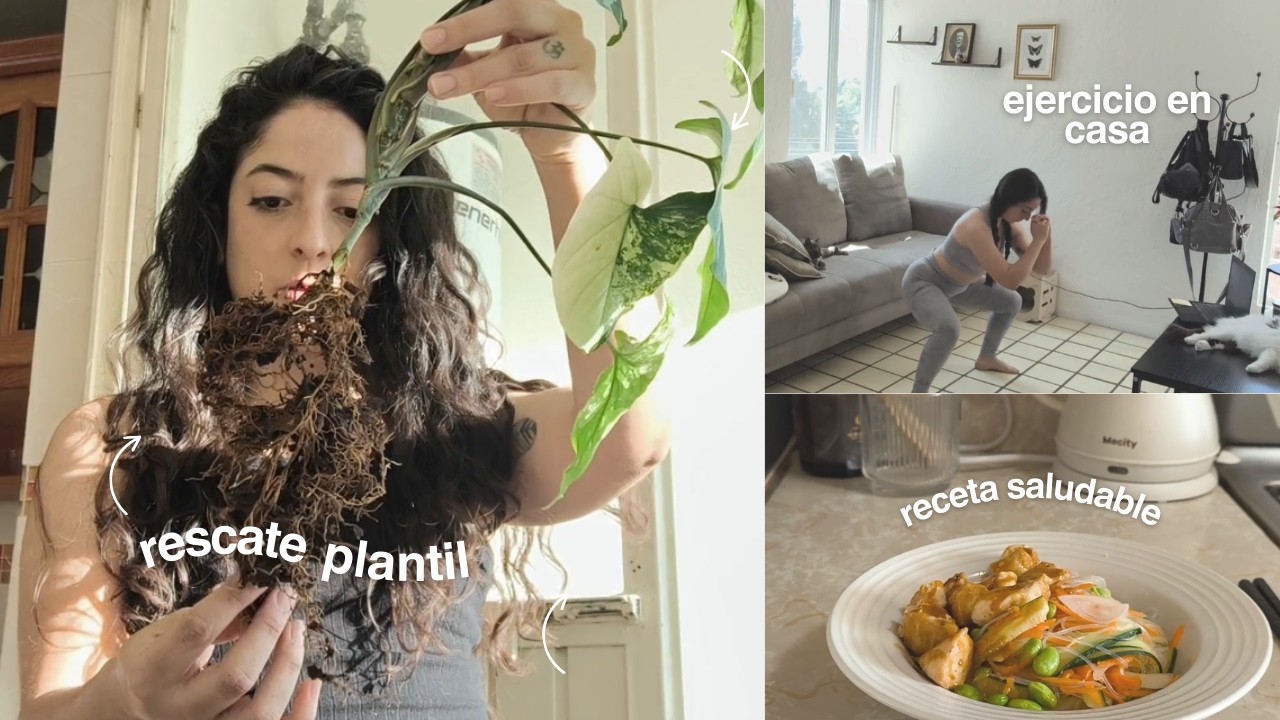 A veces la vida se pone rara | Días lentos de cocinar, cuidar plantas, probar ejercicio en casa.