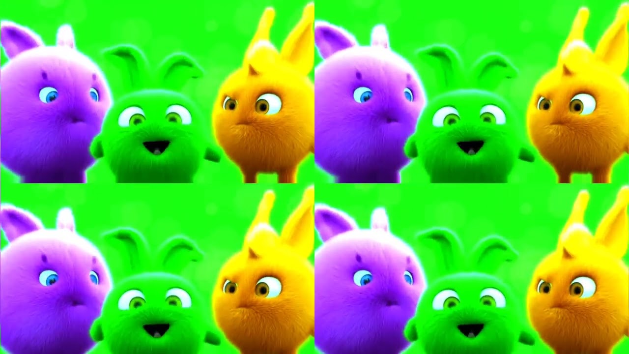 playing bunny enjoying moments