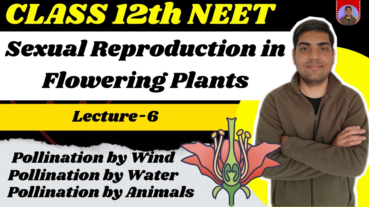 Sexual Reproduction in Flowering Plants | Class 12 | Lecture 6 | Wind, Water & Insect Pollination