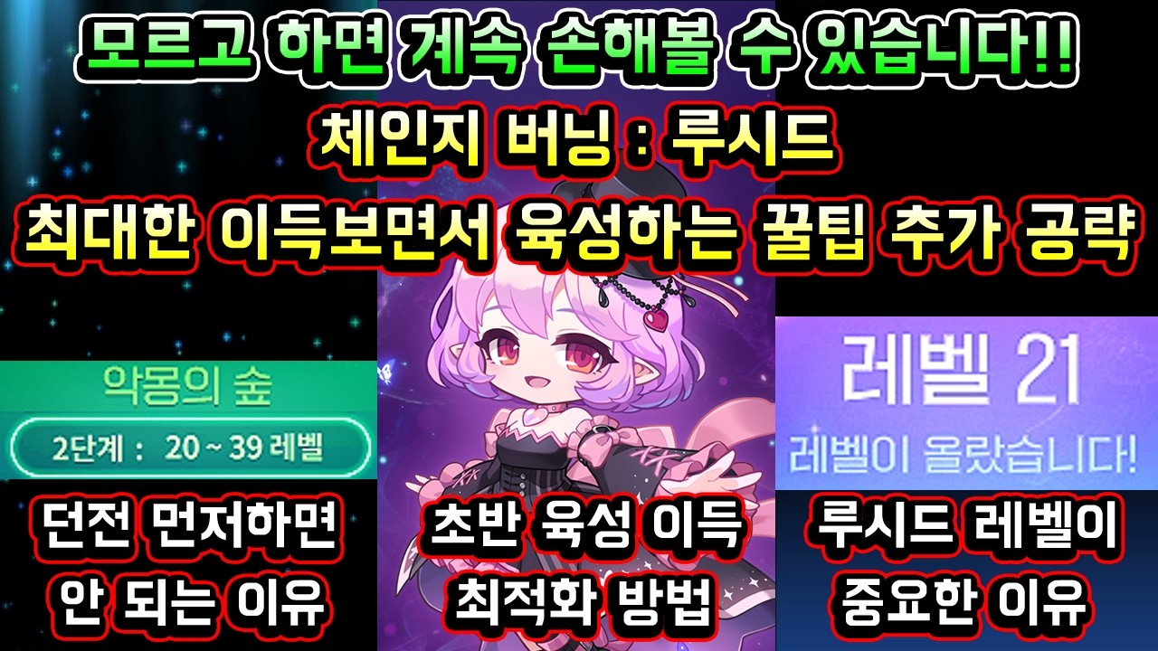 [메이플스토리 맑음] 체인지 버닝 루시드 손해 없이 최대한 이득보면서 육성하는 꿀팁 추가 공략 정리 / 악몽의 숲을 먼저 하면 안되는 이유 / 모르고 하면 계속 손해볼 수 있습니다
