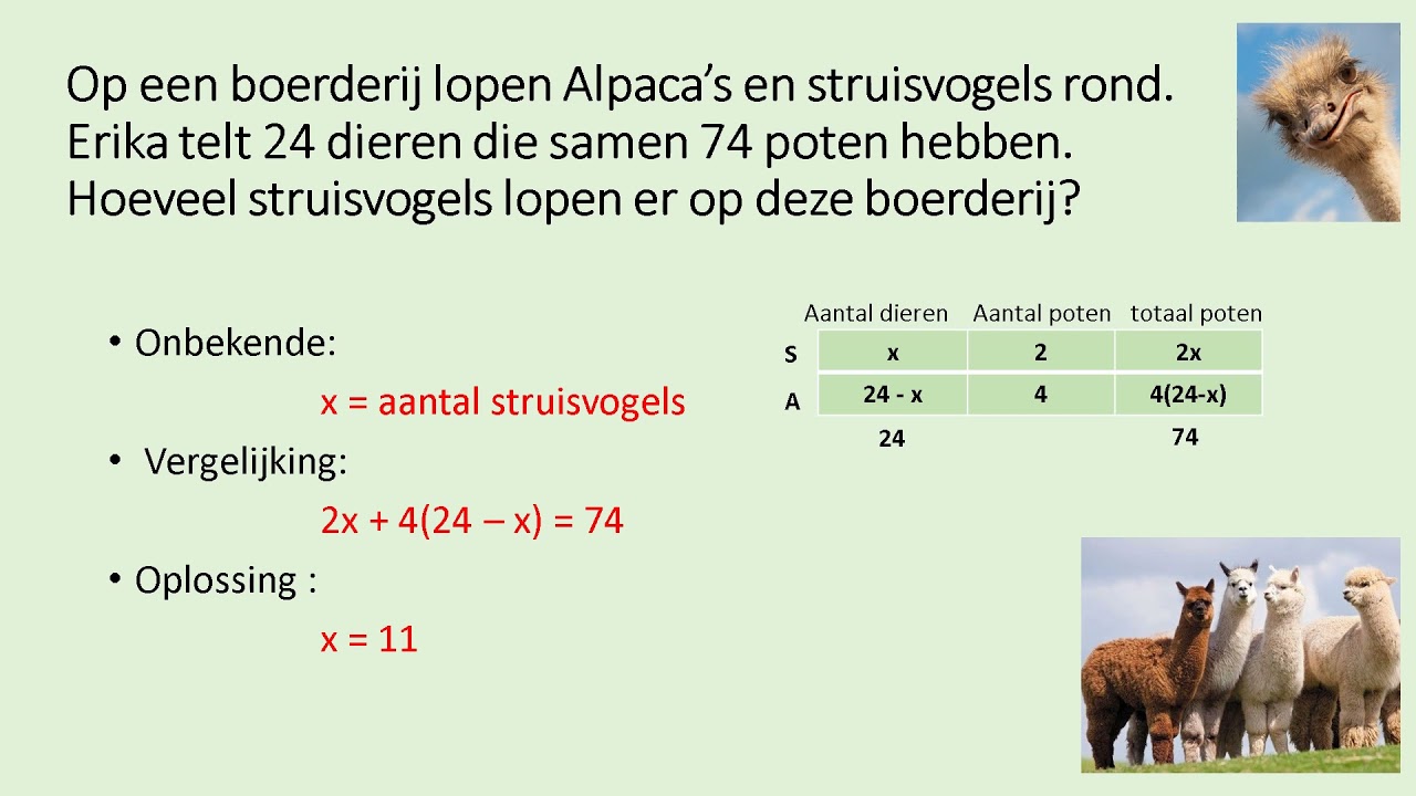 vraagstukken oplossen met vergelijkingen
