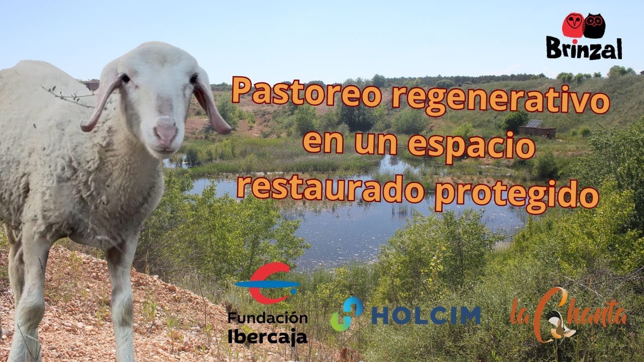 Pastoreo regenerativo en un espacio restaurado protegido