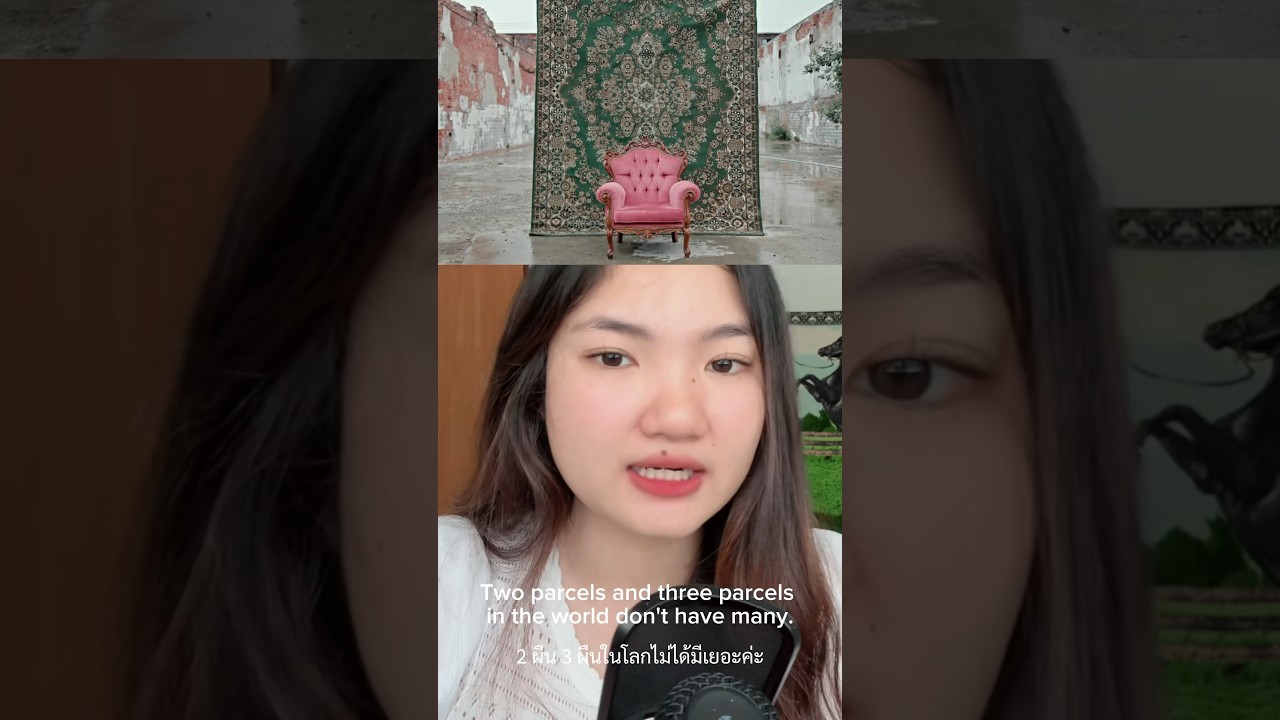 ทำไมพรมผืนนี้ถึงแพง ? 💰 | พรมเปอร์เซียที่เหล่านักสะสมตามหา Persian Carpet/Rugs 🇮🇷