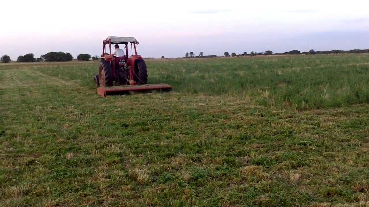 Massey Ferguson 165 topping with 9ft Votex mower