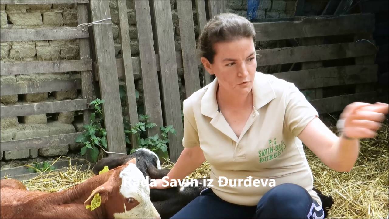 Farma Savin Djurdjevo