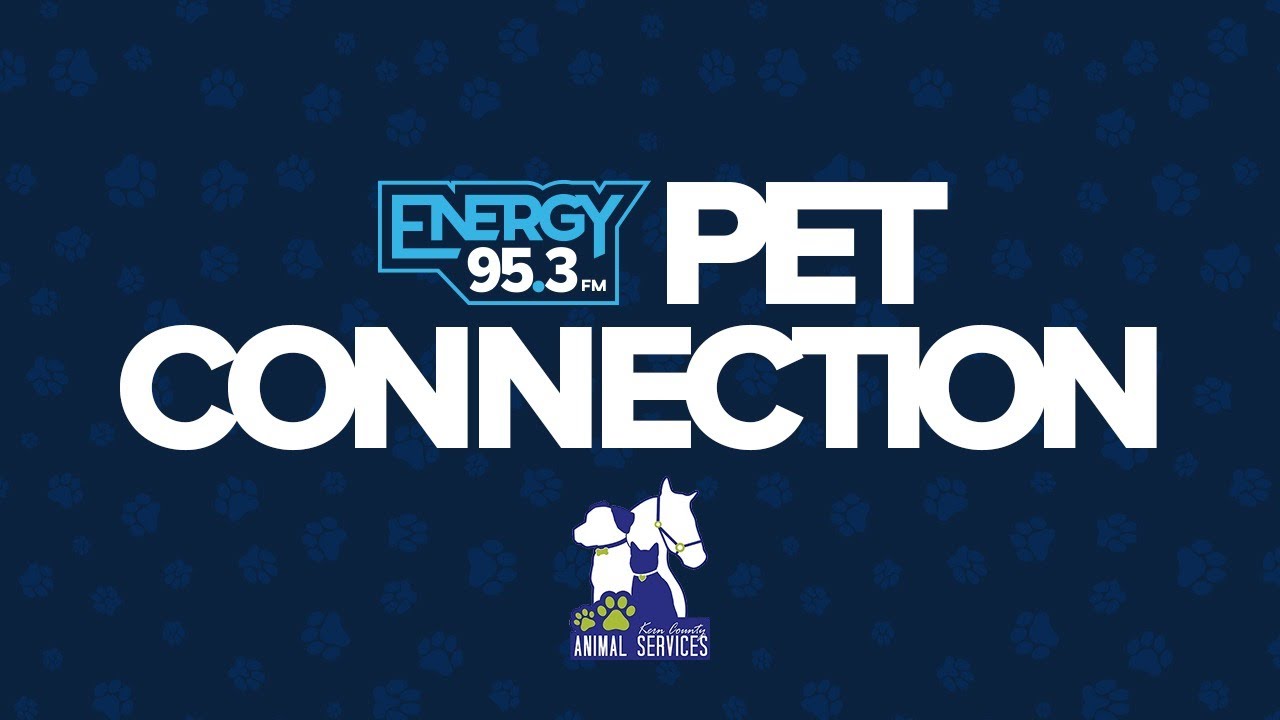 Energy Pet Connection 4/3